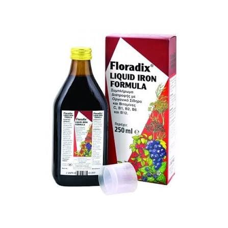 Floradix Syrup